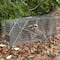 Havahart Havahart Large Live Catch Cage Trap For Cats and Raccoons 1 pk 1079 - alternate 2
